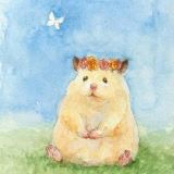 花栗鼠的科学小探秘