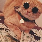 醉猫和阿喵