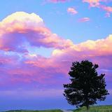 感情源于你我他