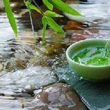 养生小二白来也