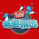 youtube奇趣精选