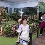 九州华不曾解语