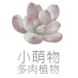 小萌物多肉植物