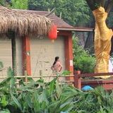 华秀雅娱乐大咖