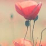 柏翰墨喜欢娱乐