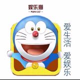 爱鱼乐的娱乐猫