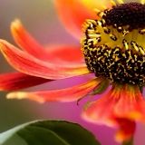 唯一娱乐小分队