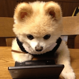 爱娱乐的小帅哥