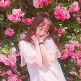 木子异想记