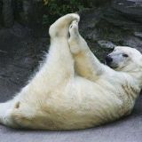 总被自己萌哭了