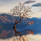 小玲的娱乐生活