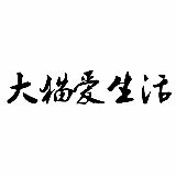 大猫爱生活