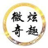 微炫奇趣