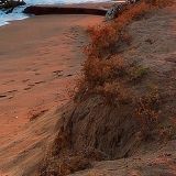 小刘娱乐小分队