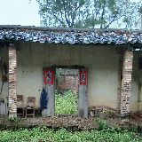 飞在蓝天画紫雨