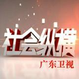 社会纵横