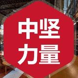 湖南中坚力量