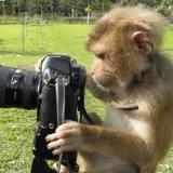 百味人生 人生百态