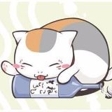 娱乐影视八小妞