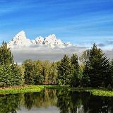 少菲历史小分队