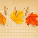 珍惜你给的疼爱