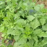 追剧少年老阿姨