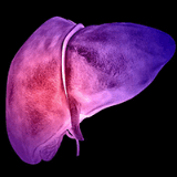 肝脏健康每日说