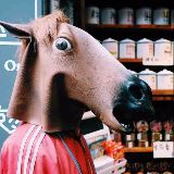 一只旅行的马叔