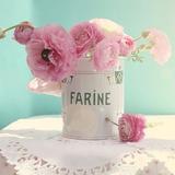 想住这样的房子