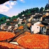 诗画人生相约篁岭