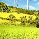 庞琦娱乐小分队