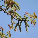 小核桃育儿课堂