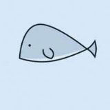 薛定谔的小鲨鱼