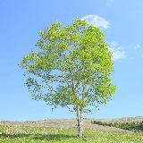 晴天看生活趣事