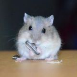 好街区点点滴滴