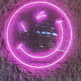 小赵的异想世界