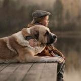 唯美系情感影视