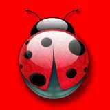 老刀网络农管家