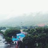 林小林