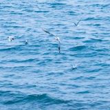 亲手培养这份爱