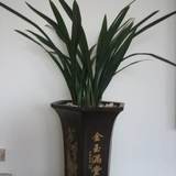 甲哥情感生活坊