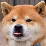 爱上看搞笑