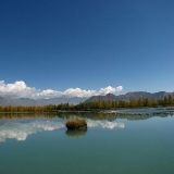 公孙崔纂说娱乐