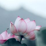 古色古声