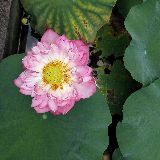 天荒地老的誓言