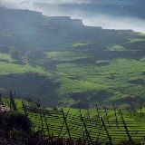 我带娃娃去旅游