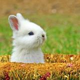 不为人知的故事