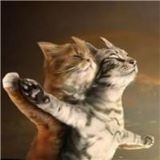 你别皱眉你最珍贵