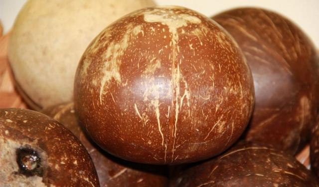 椰汁,椰青,椰皇,椰蓉,椰果,椰子油……“椰子家族”