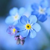 爱时尚的小诺诺